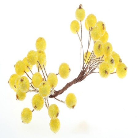 PRĘCIKI NA DRUCIKU...