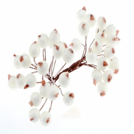 PRĘCIKI NA DRUCIKU...