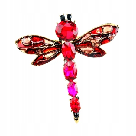 PIĘKNA BROSZKA VINTAGE WAŻKA