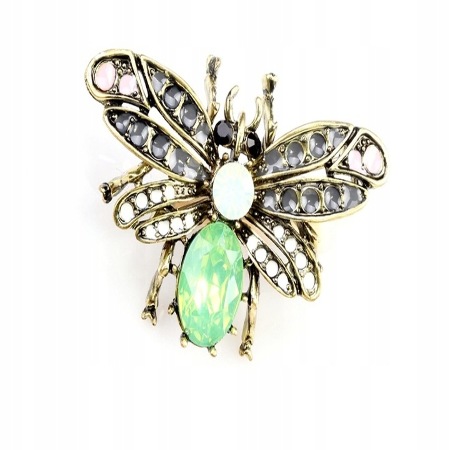 PIĘKNA BROSZKA OWAD