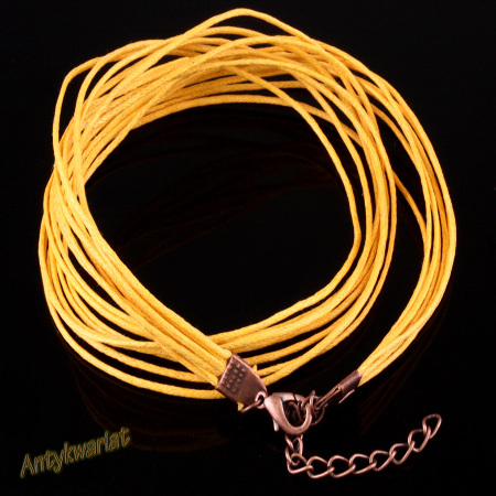 NOŚNIK NASZYJNIKA 8...