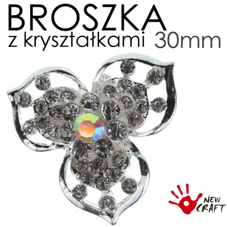 BROSZKA Z KRYSZTAŁKAMI...