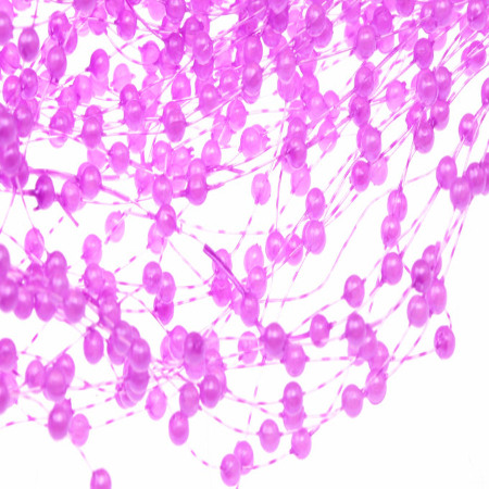 GIRLANDA PERŁOWA NA CHOINKĘ...